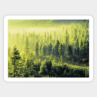 Forest Oil painting Sticker